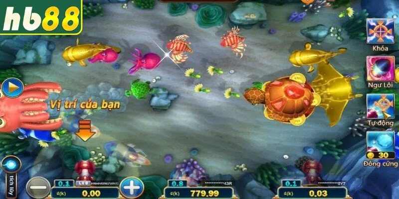 Đặc điểm chi tiết của loại cung săn cá giá trị 