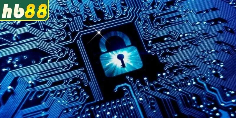 Quyền riêng tư được thực thi thông qua các điều khoản cụ thể