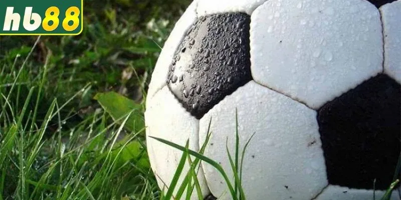 Lưu ý từ các chuyên gia luôn nhắc nhở người chơi cá cược đúng đắn