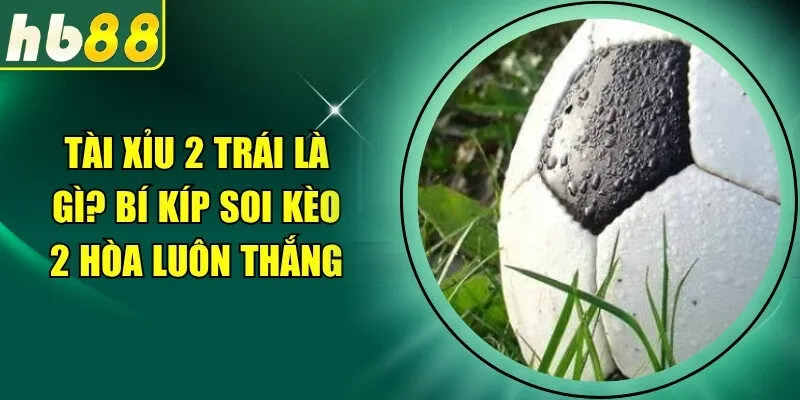 Tài Xỉu 2 Trái